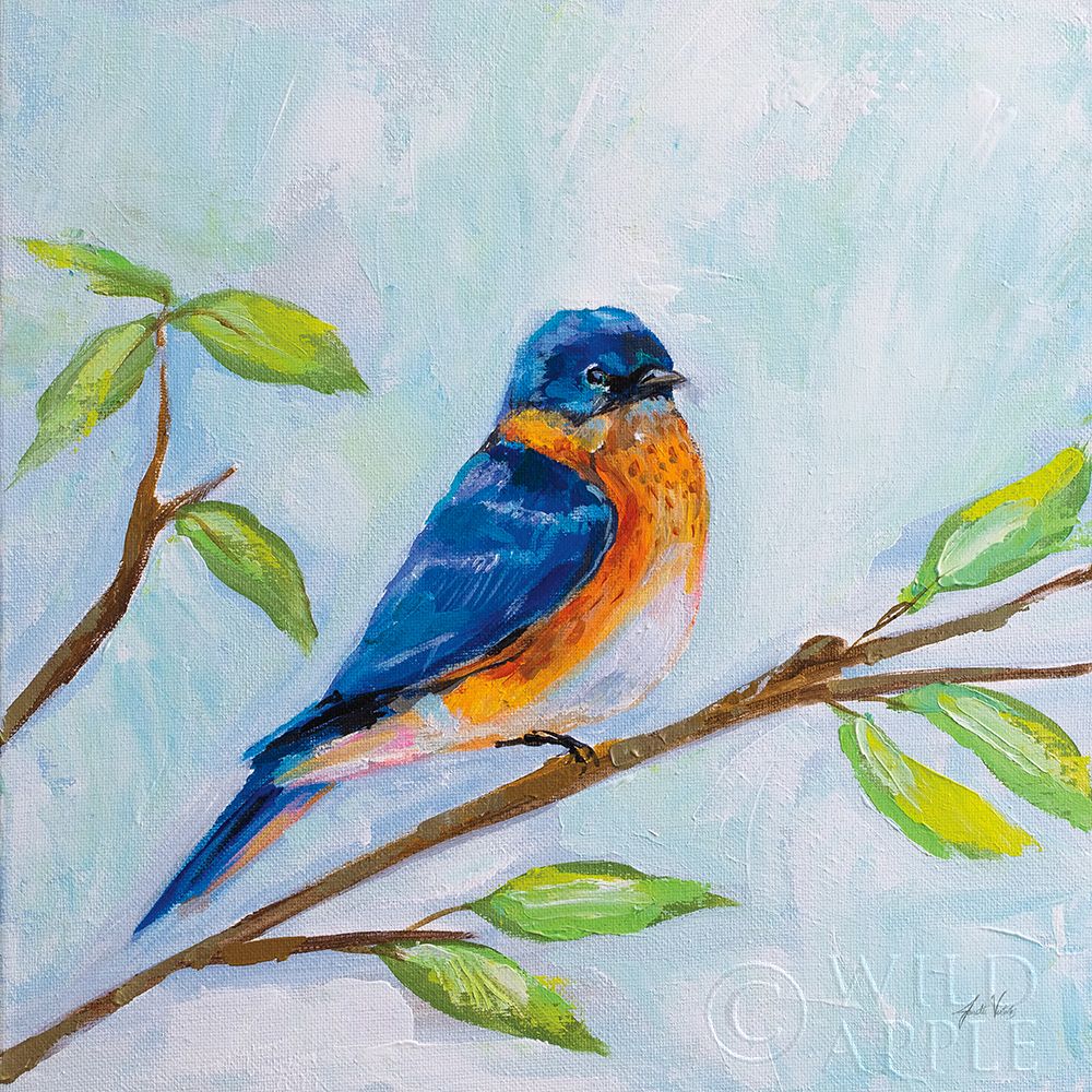 Bluebird Poster Print by Jeanette Vertentes # 63460