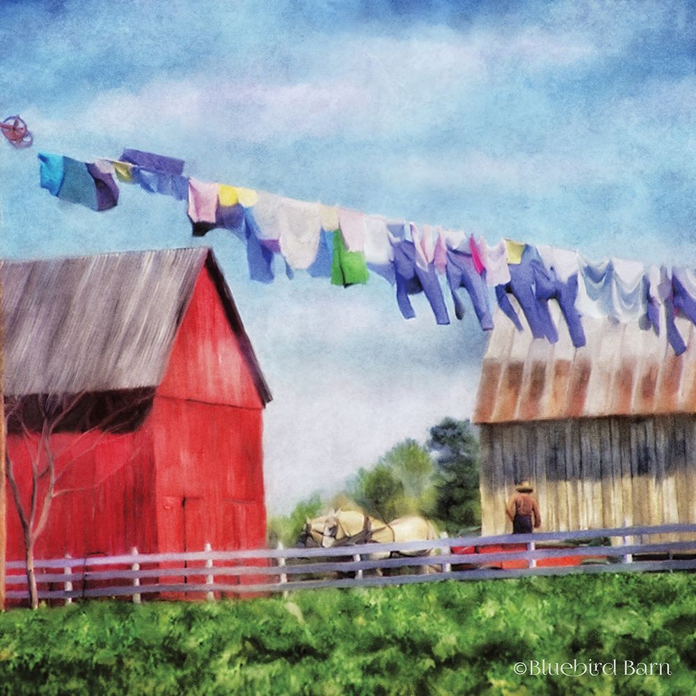 Clothesline Farm Poster Print by Bluebird Barn Bluebird Barn - Item # VARPDXBLUE235