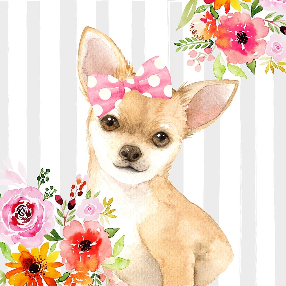 CHIHUAHUA DOG Poster Print by Atelier B Art Studio - Item # VARPDXBEGCHA5