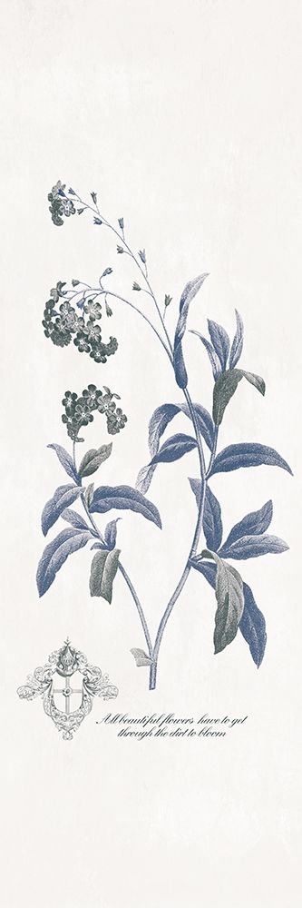 Beautiful Flowers Poster Print by Jace Grey # JGPL363B