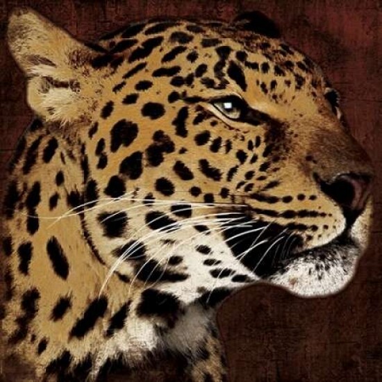 Leopard Poster Print by Jace Grey - Item # VARPDXJGSQ112D