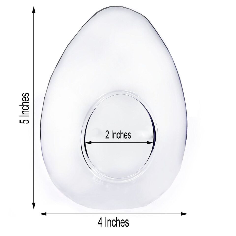 6 CLEAR Glass Egg Terrariums CENTERPIECE