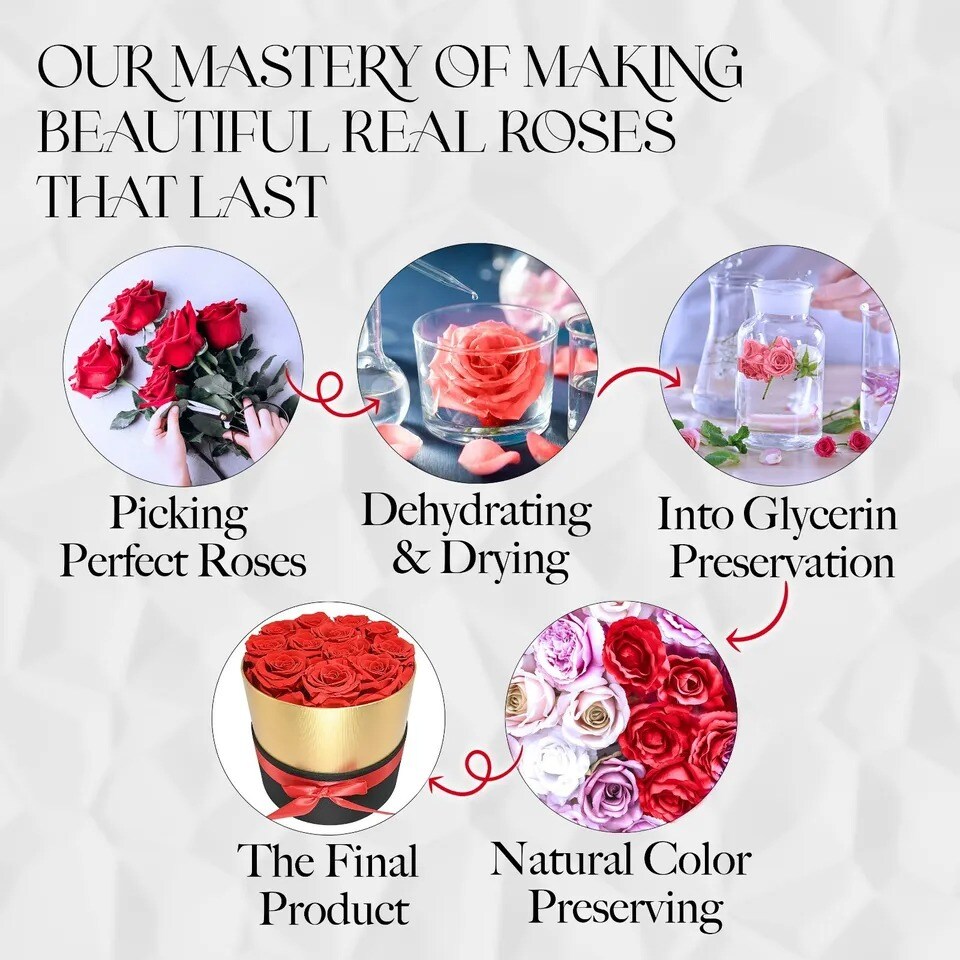 7 Real Preserved Roses in A Box