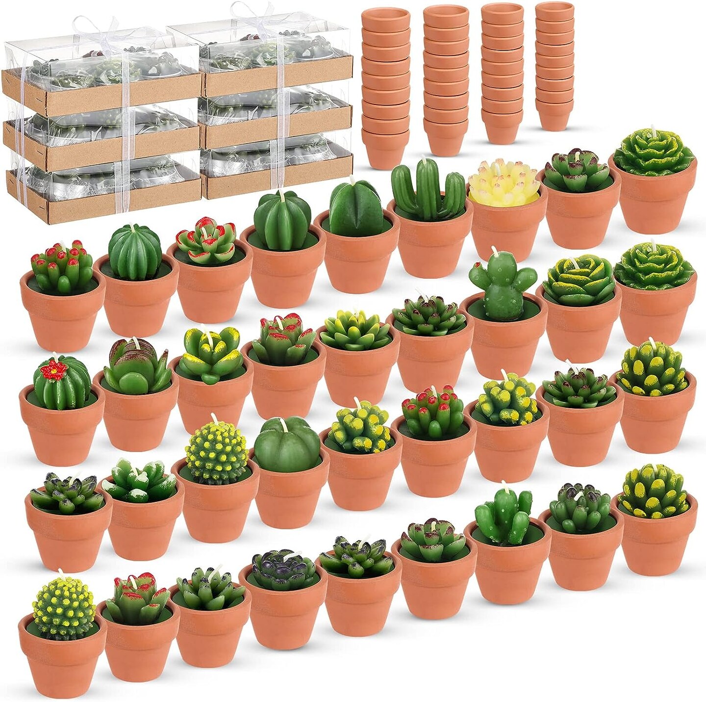 36-Pieces Succulent Tealight Candles