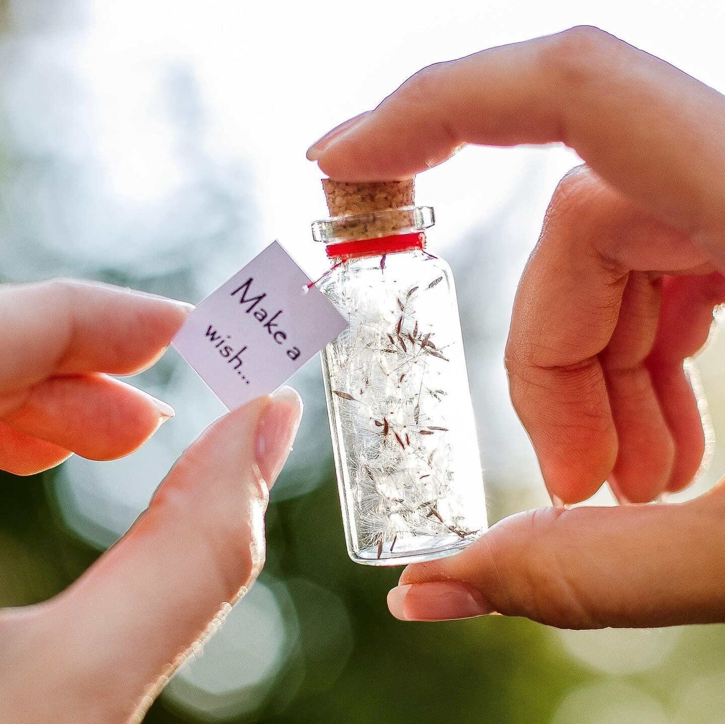 Tiny Magical Message in a Bottle Gift Idea   Classy Inspirational Gifts for Him and Her   Unique Presents for Women and Men (White Dandelion   Make a Wish Gift Bottle)