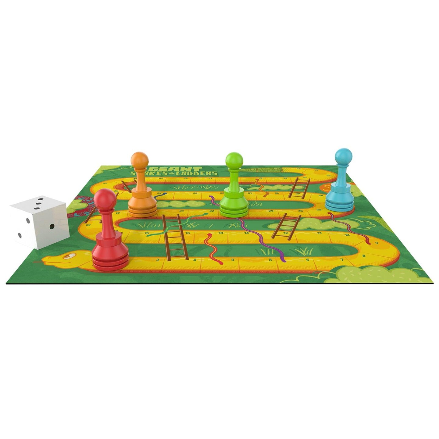 Giant Snakes &#x26; Ladders&#x2122;