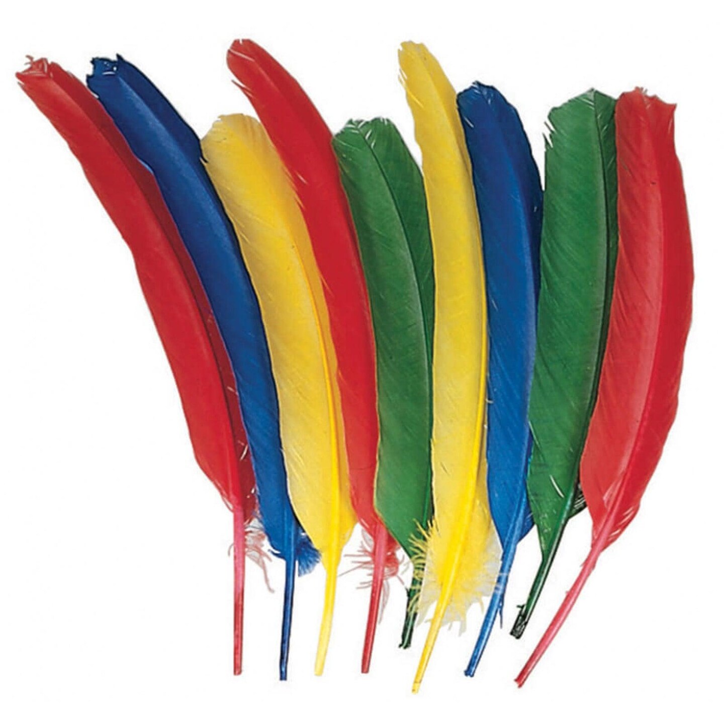 Quill Feathers, Assorted Colors, 12&#x22;, 24 Per Pack, 3 Packs