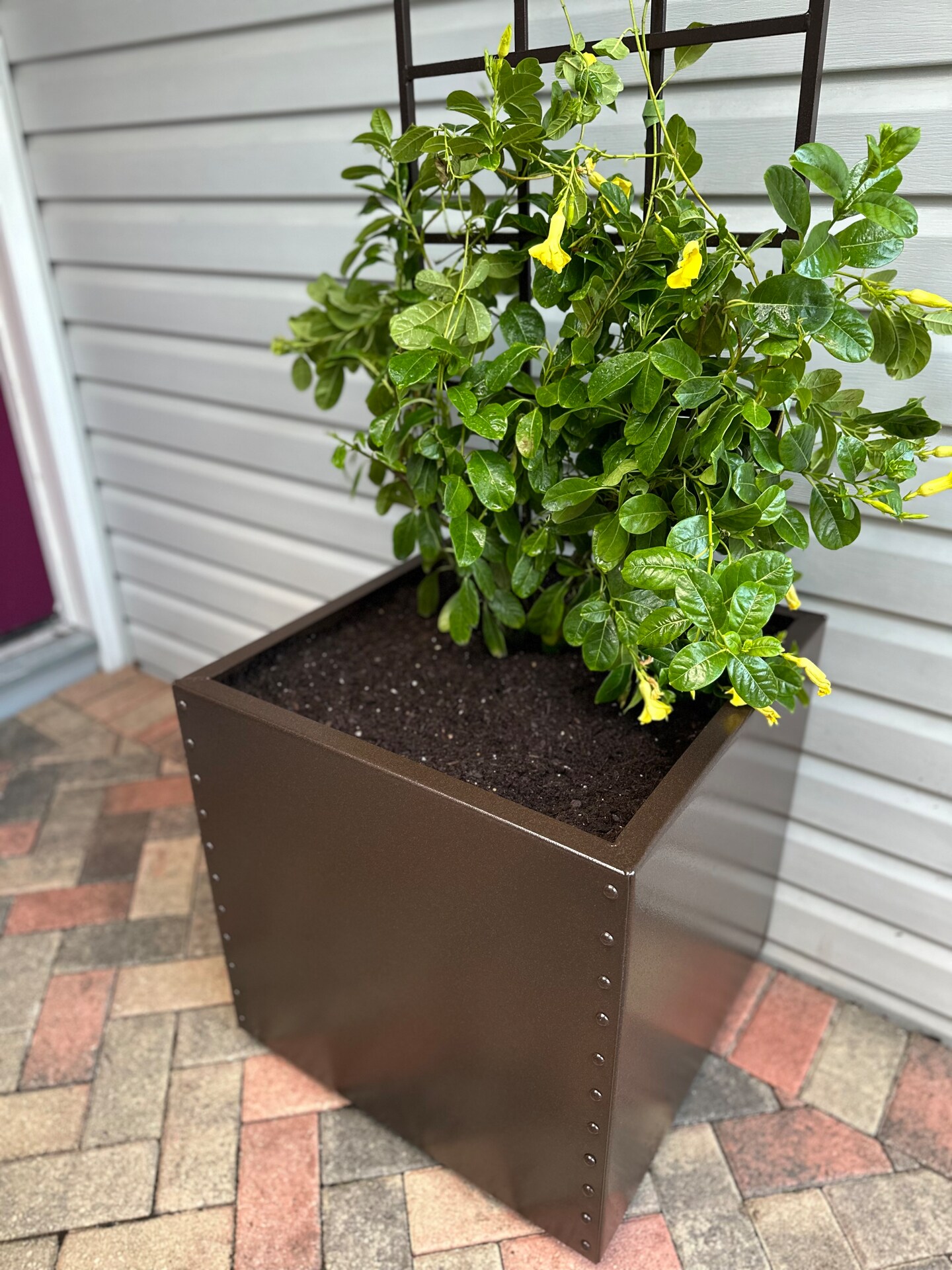 Siesta Village Square Metal Planter Box And Trellis Set 22 Planter 