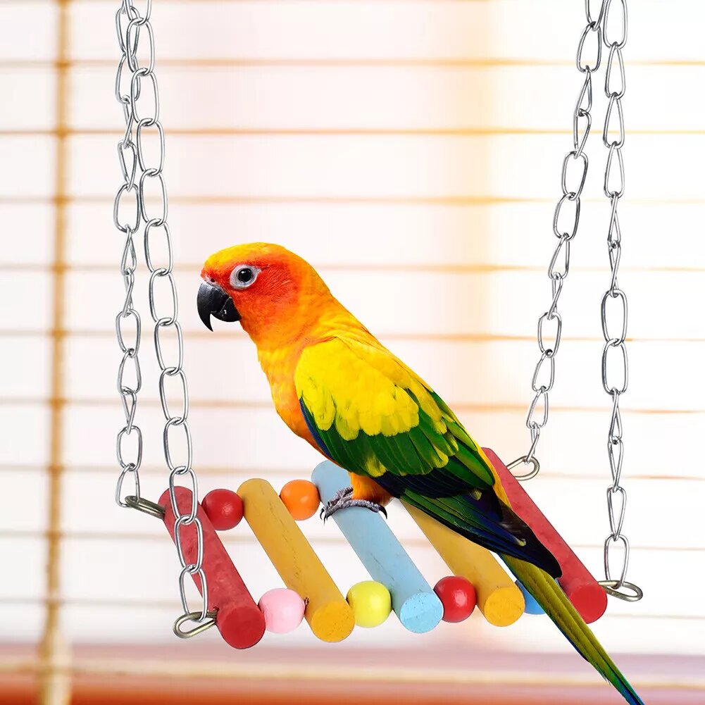 Kitcheniva 8 Pcs Bird Parrot Swing Toys
