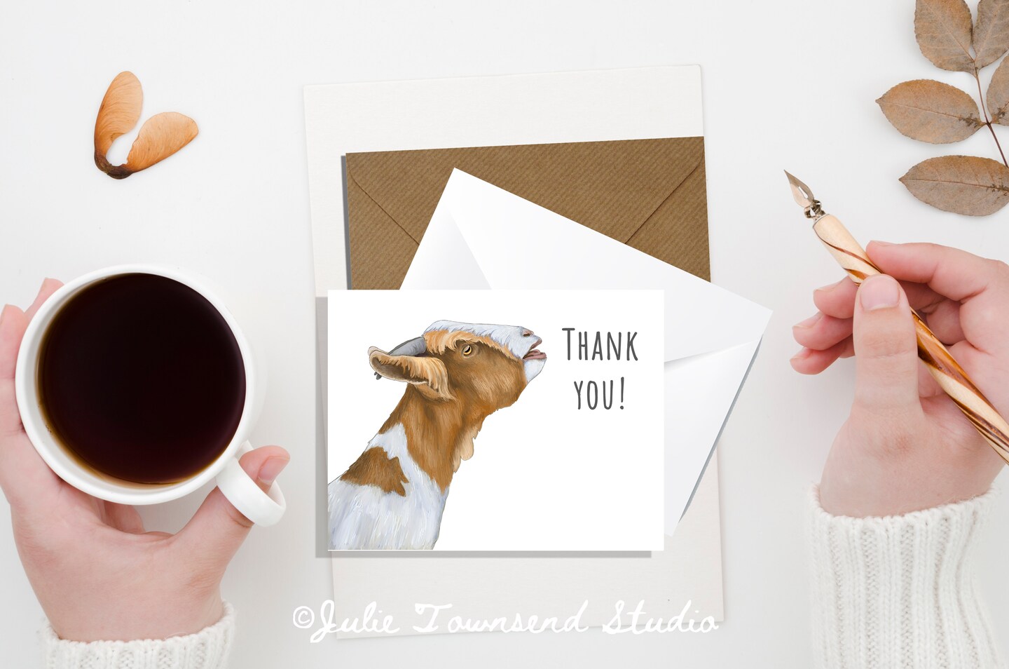 A2 CARD SET - Within Reach Thank You Cards - Discover Farm Whimsy