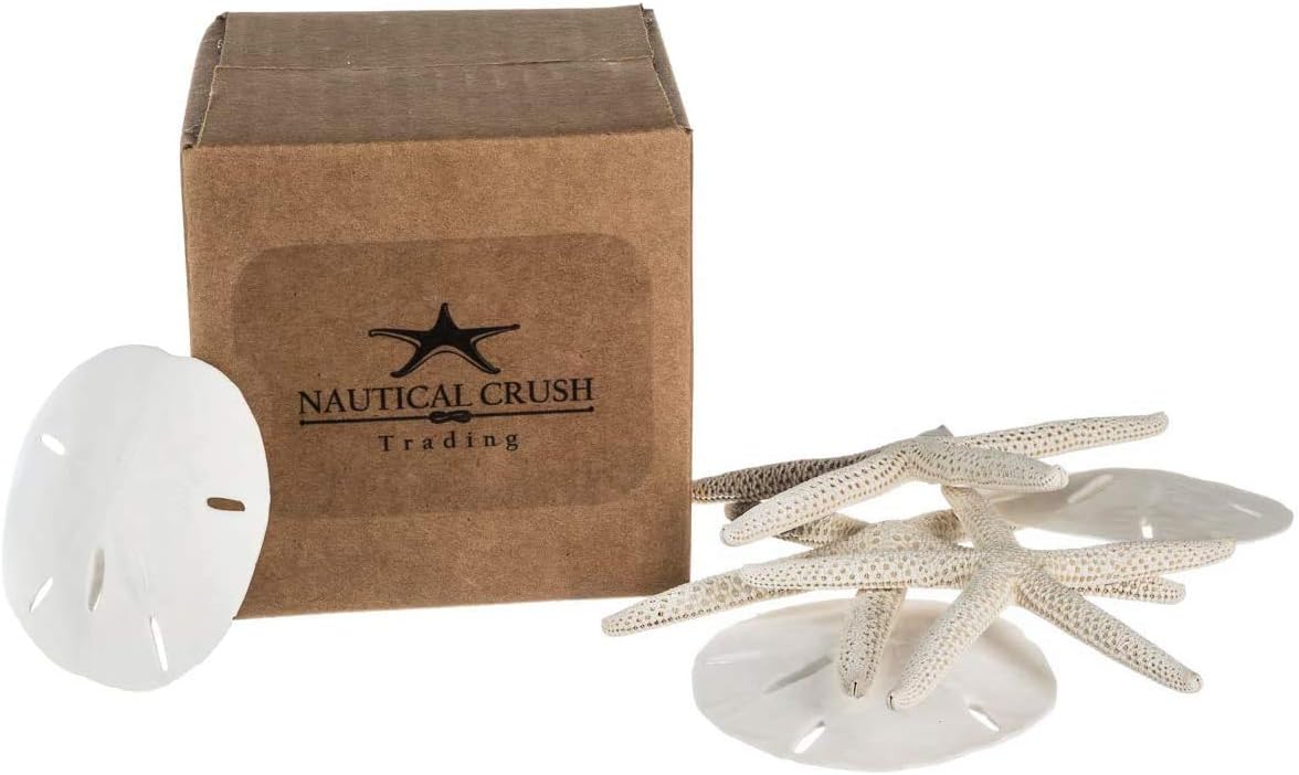 White Finger Starfish and Sand Dollar Collection (3) 4&#x22;-6&#x22; White Finger Starfish and (3) 3&#x22; - 3 1/2&#x22; White Sand Dollars Wedding Seashell Craft 1 Pack