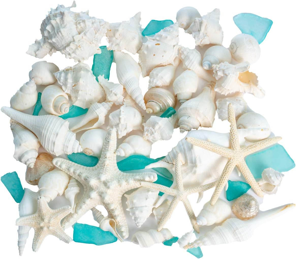 Sea Shells Real Mixed Beach Seashells with Real Starfish & Caribbean Blue Sea Glass White Decorative Seashell Décor & Blue Seaglass Pieces Sea Shells Bulk 1 Pack