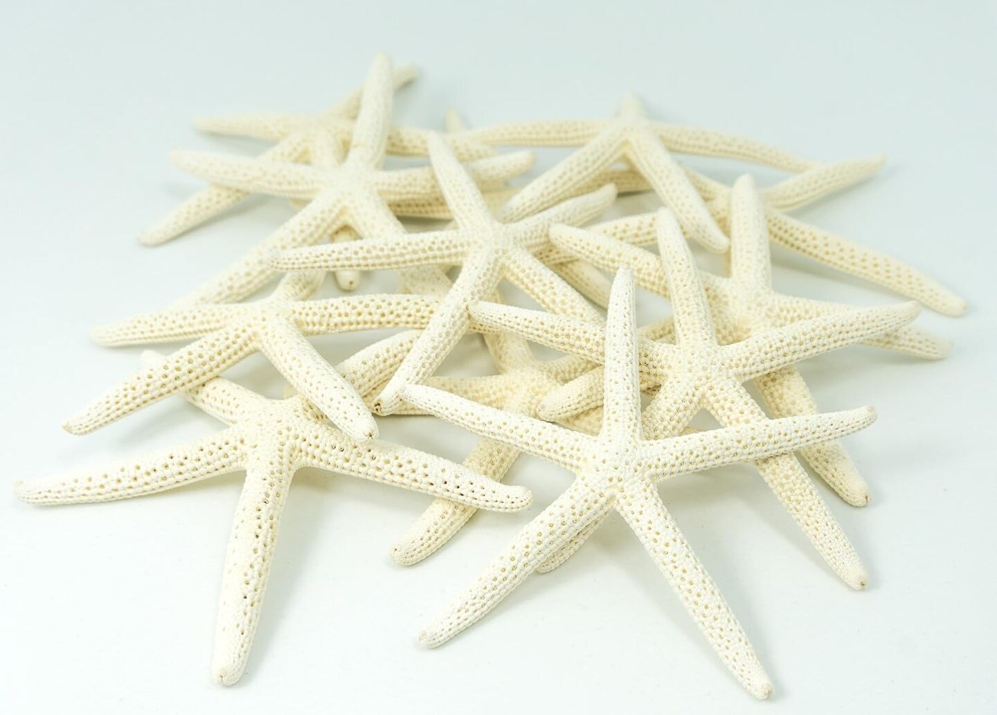 Starfish | 12 White Finger Starfish 3&#x22; to 4&#x22;