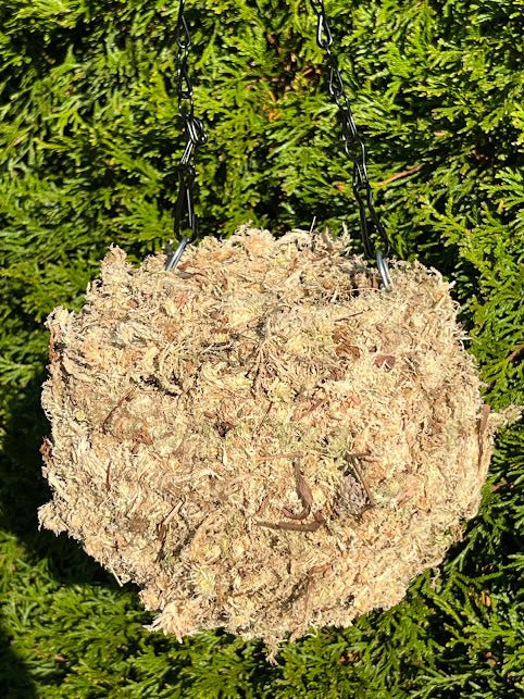 6&#x22; MOSS Hanging Planter -  Ball NATURAL