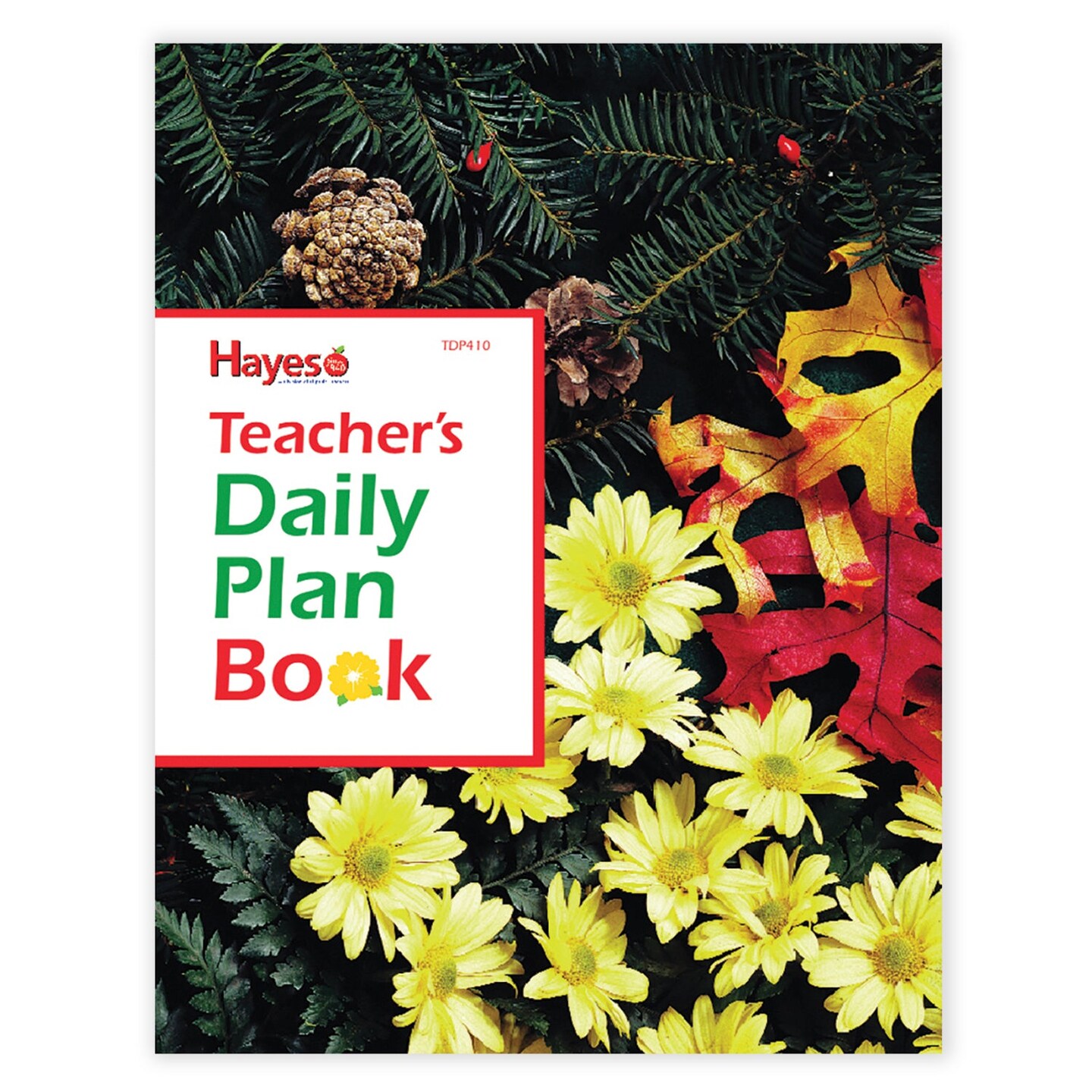 Teacher&#x27;s Daily Planner, Pack of 3