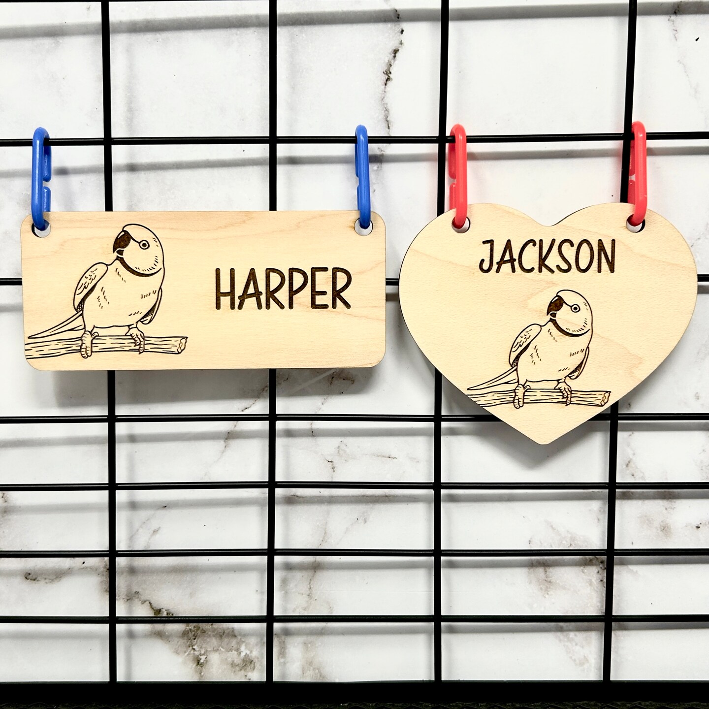 Ring Necked Parakeet Cage Tag Rose ringed Parakeet Parakeet Cage Sign Ring Necked Parakeet Cage Tag Rose ringed Parakeet Parakeet Cage Sign