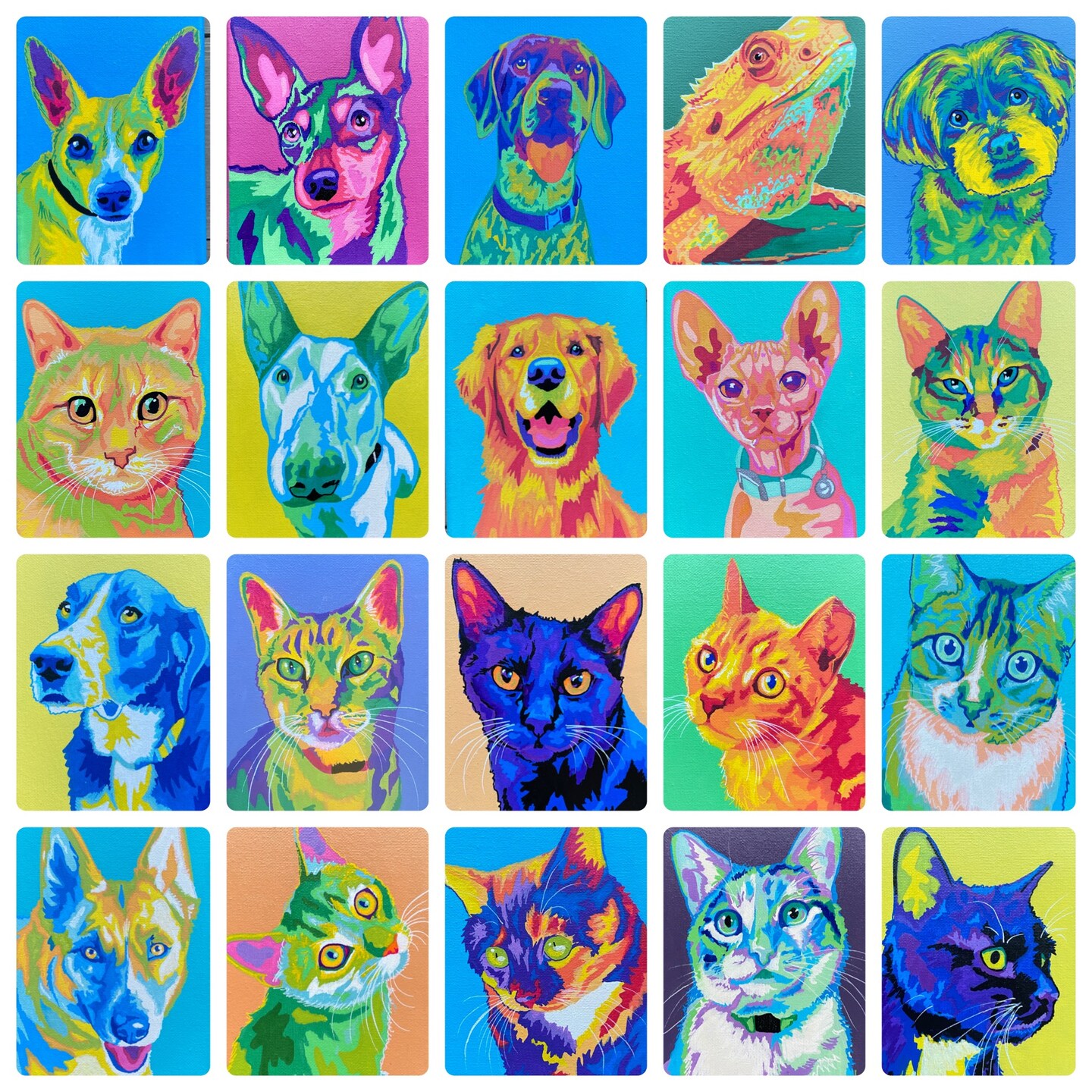 Custom Abstract Colorful Pet Portrait, 5x7 Inch Canvas, Hand Draw