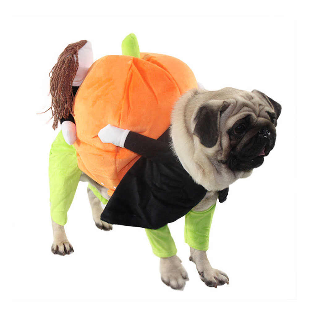 Pumpkin Mon - Halloween Pet Dog Costume