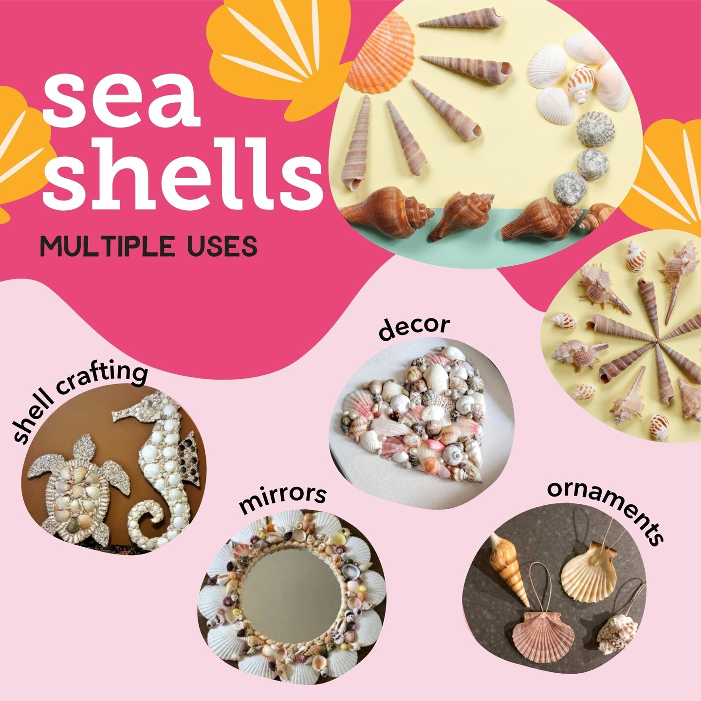 Incraftables Sea Shells (200pcs) Set for DIY Decoration & Crafts. Natural Large & Small Mixed Bulk Seashells & Starfish for Beach Theme Party, Candle Making, Fish Tank, Shell Decor & Vase Fillers