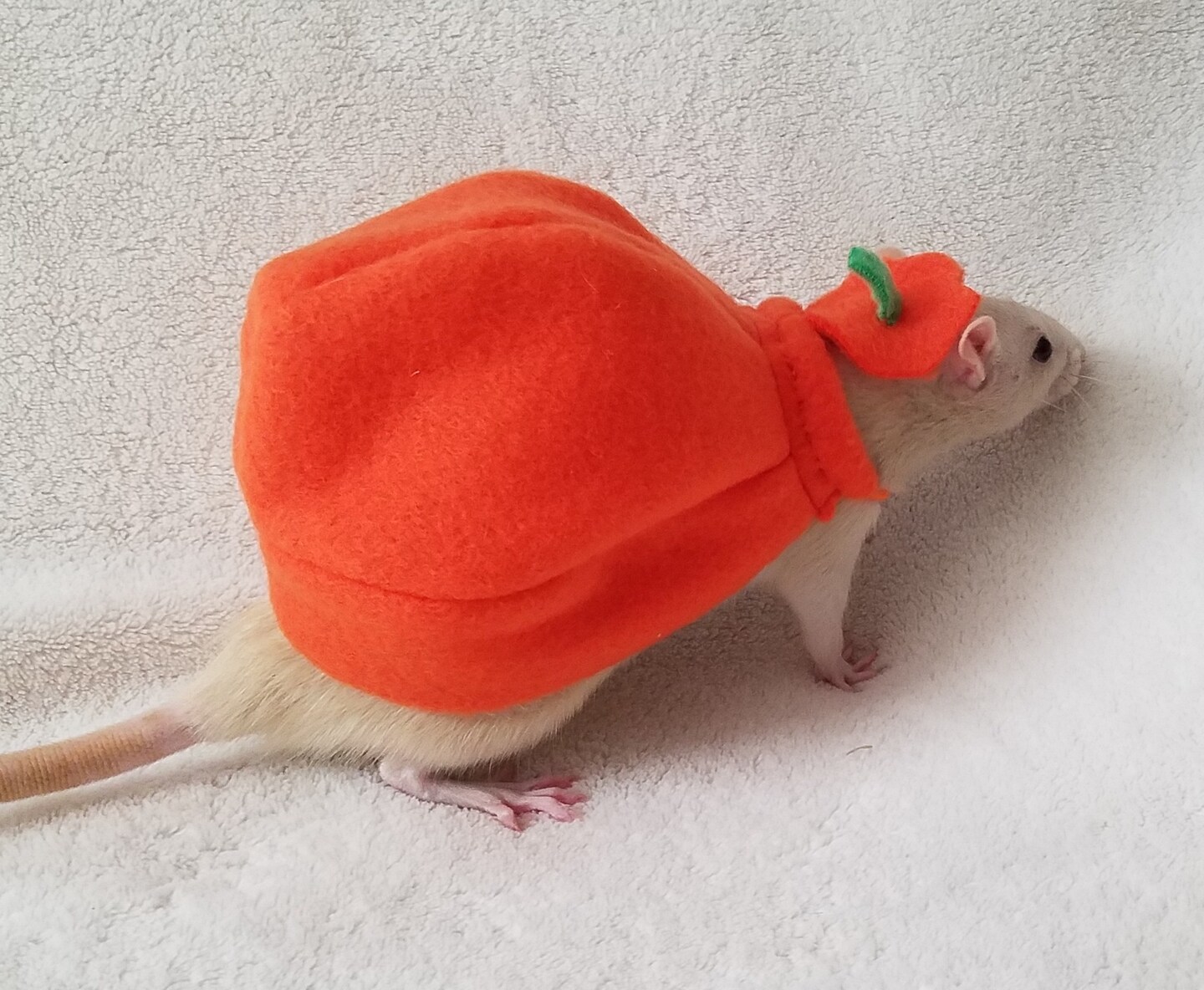 Pumpkin Costume for Pet Rats, Halloween Costume for Small Animals product 4