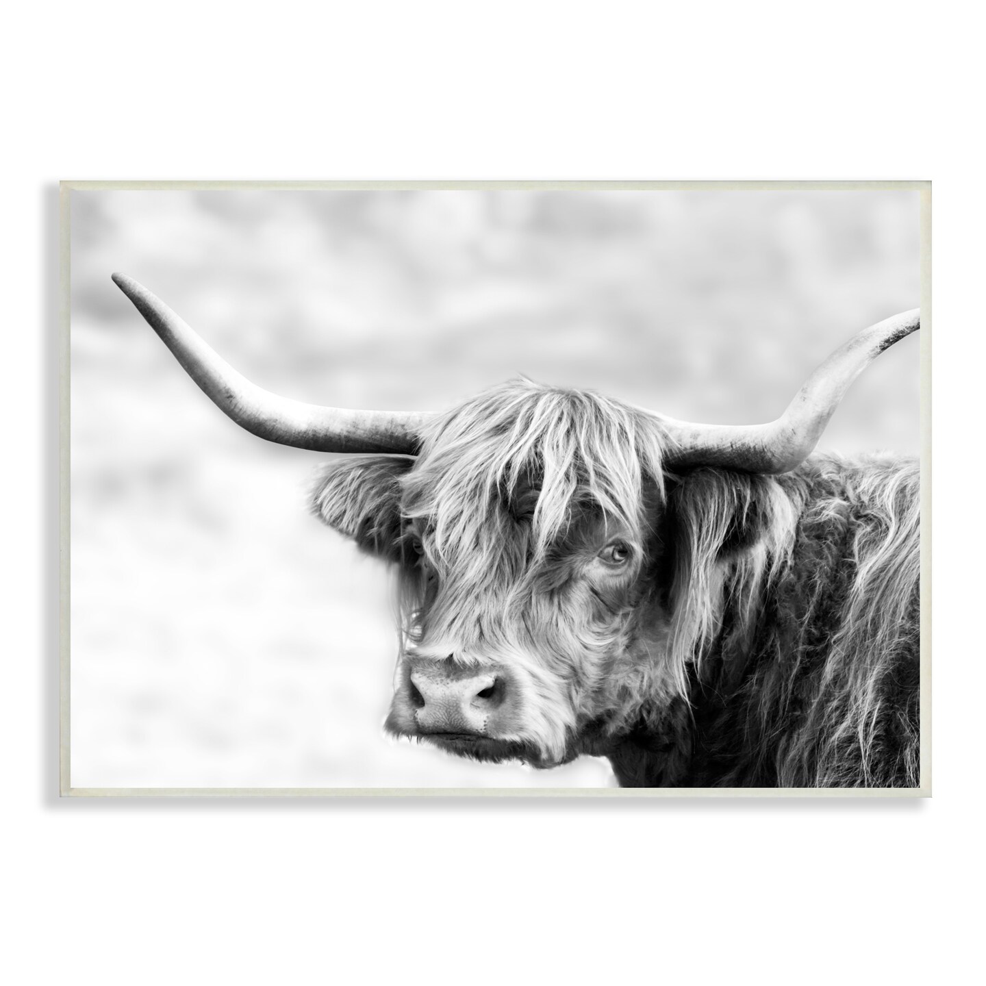 Stupell Industries Bold Country Cattle Photography Wall Plaque Art