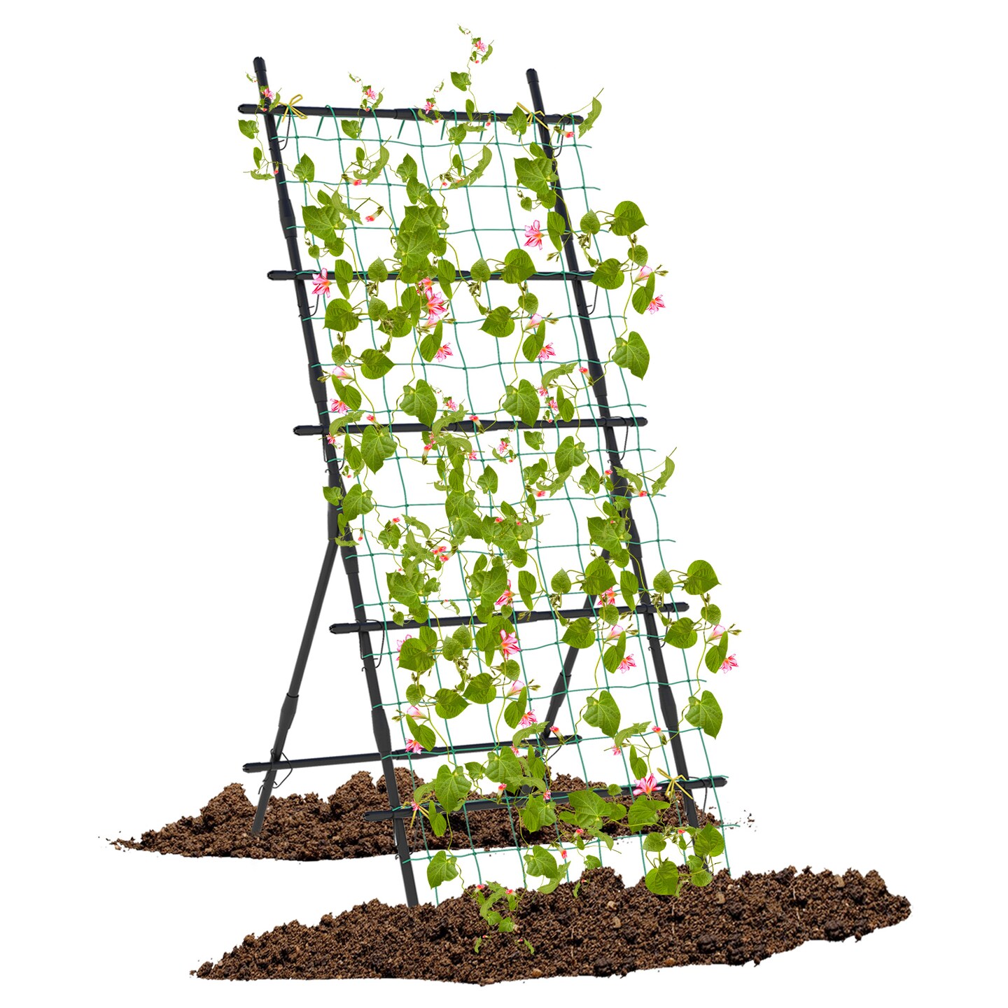 74 Inch Tall Garden Trellis For Flower Vine Vegetable Fruit Pea-Black