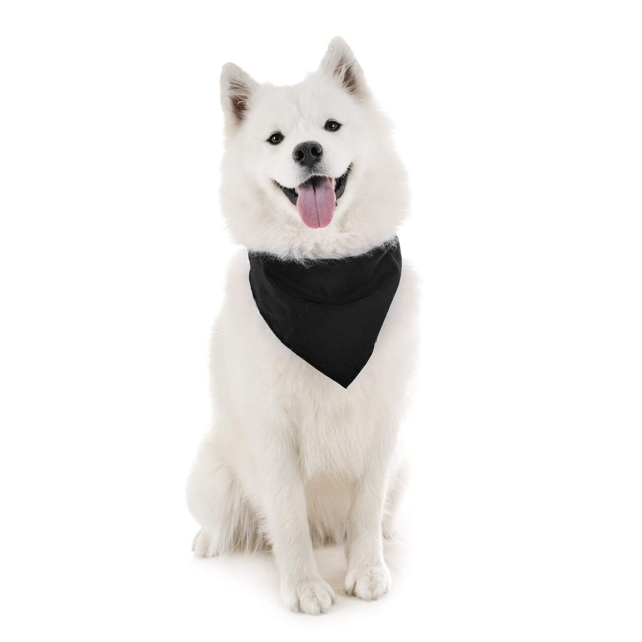 Qraftsy Cotton Dog Bandana Triangle Bibs For Small Medium Large Dogs Cats