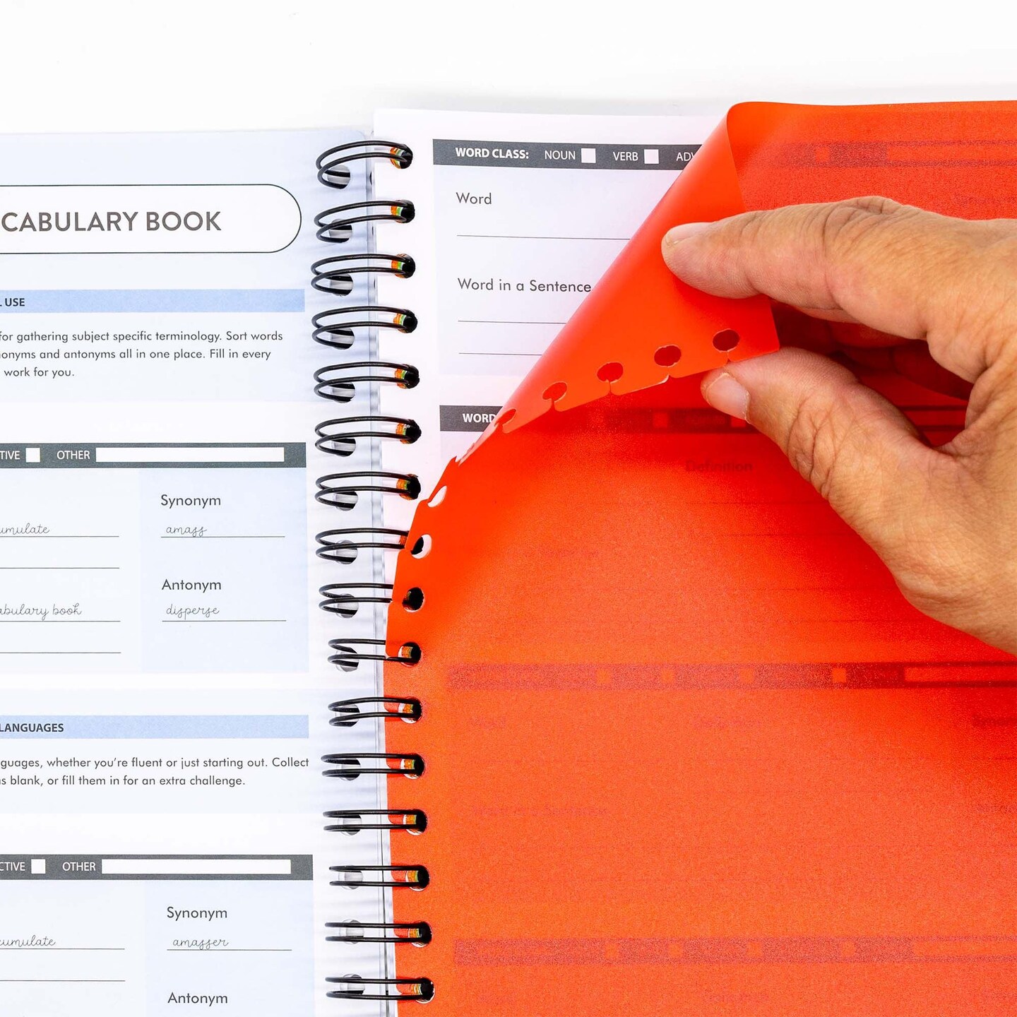 Pukka Basics B5 Vocab Book