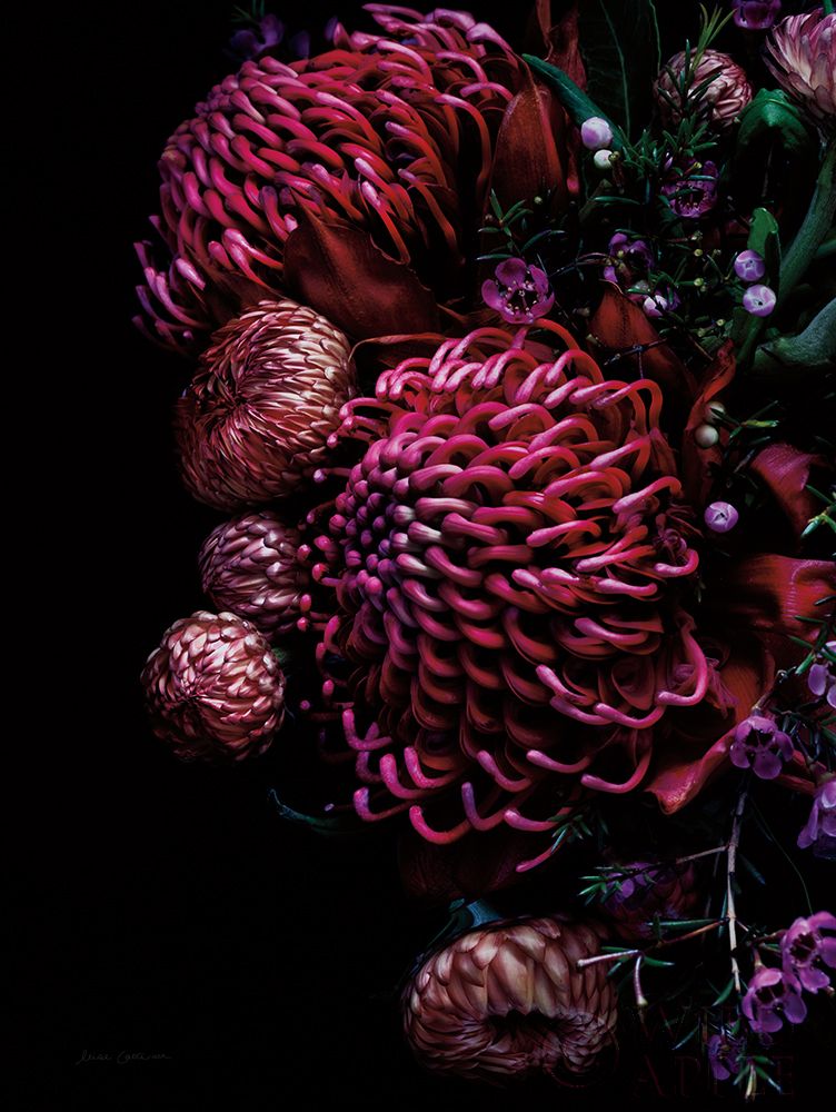 Waratah Bouquet Poster Print by Elise Catterall # 58052