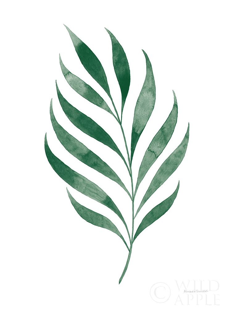 Botanic Inspiration I No Words Poster Print by Alexandra Snowdon # 61607