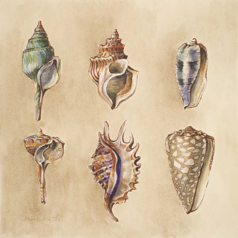 Seashells I Poster Print by Lanie Loreth - Item # VARPDX10158