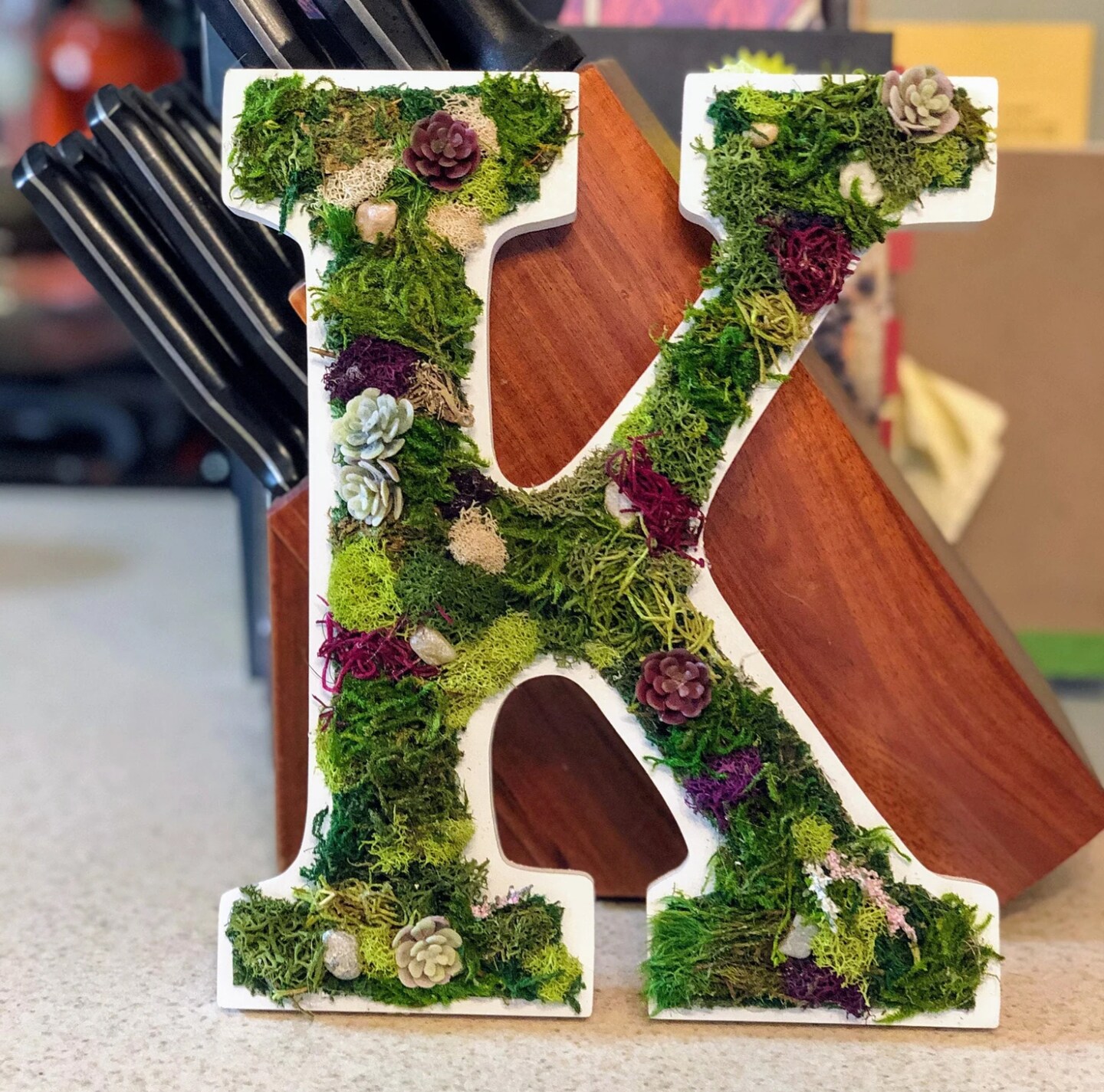 Preserved Moss Letter Wall Art, Plant Home Décor, Succulent Letters, Moss Wall Art, Gift for Her - image10