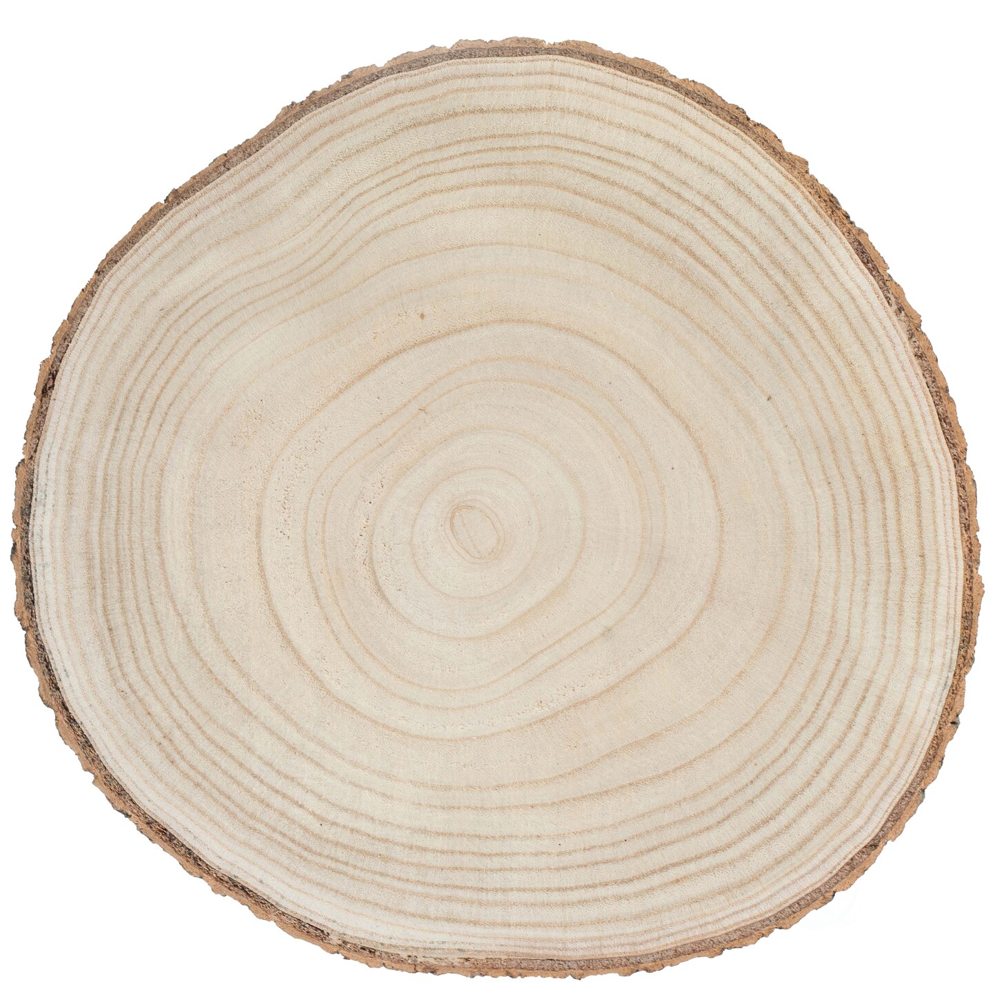 Barky Natural Wood Slabs Rustic Ornament Slice Tray Table Charger