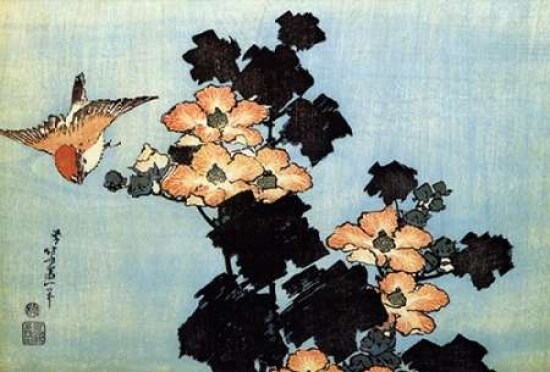 Hibiscus And Sparrow Poster Print by Hokusai - Item # VARPDX373137