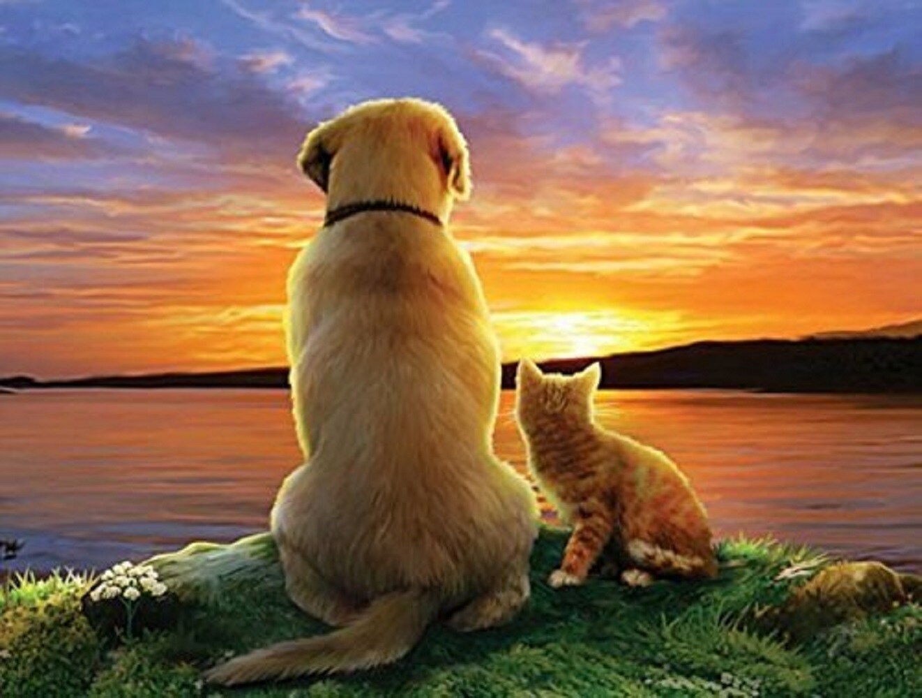 Sunsout As the Sun Sets 300 pc   Jigsaw Puzzle 59388