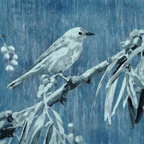 Denim Songbird III Poster Print by Edward Selkirk