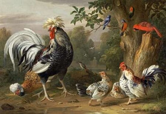 Poultry and Other Birds In The Garden of a Mansion Poster Print by  Jacob Bogdany - Item # VARPDX265950