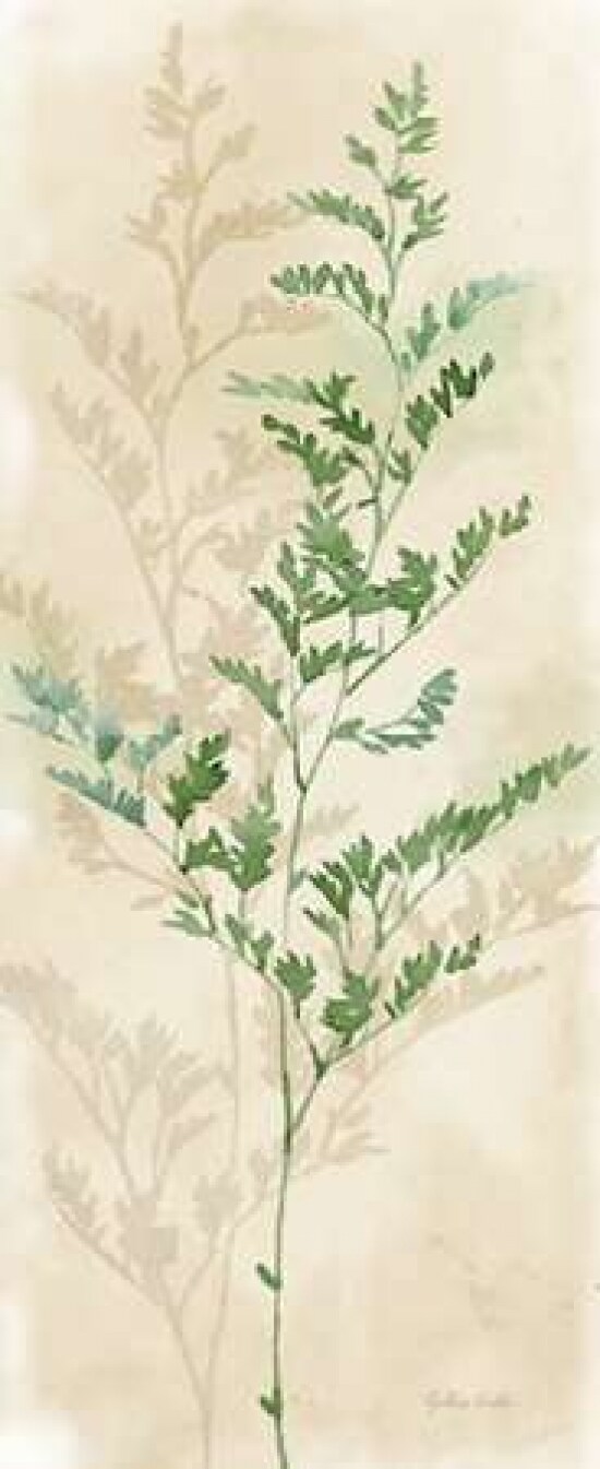 Gentle Nature Panel II Poster Print by Cynthia Coulter - Item # VARPDXRB10099CC