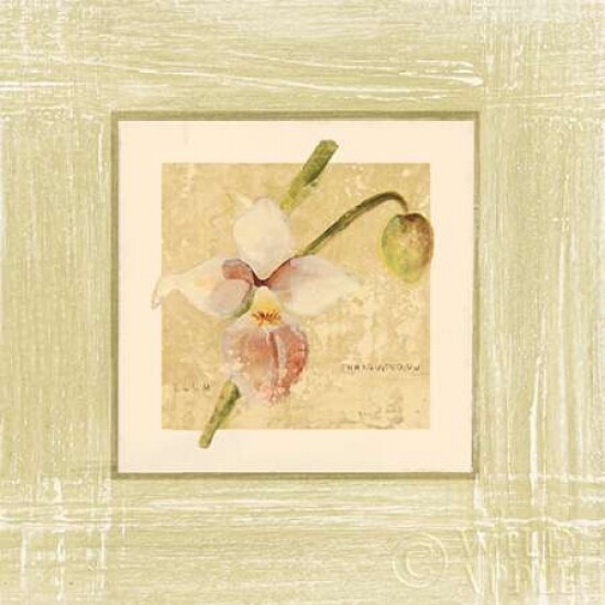 Exotic Floral IV Poster Print by Cheri Blum - Item # VARPDX8231