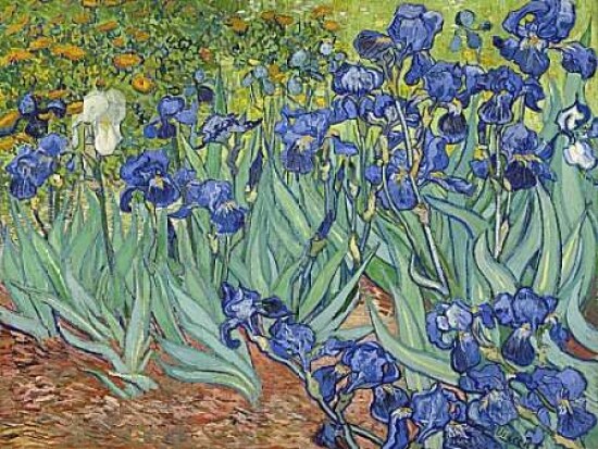 Irises 1889 Poster Print by Vincent Van Gogh - Item # VARPDXV550D
