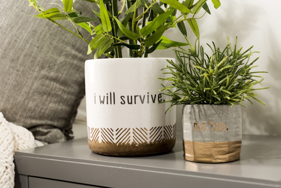 Cricut Permanent Premium Vinyl Bundle, 12x48 Black, White, Gold & Silver