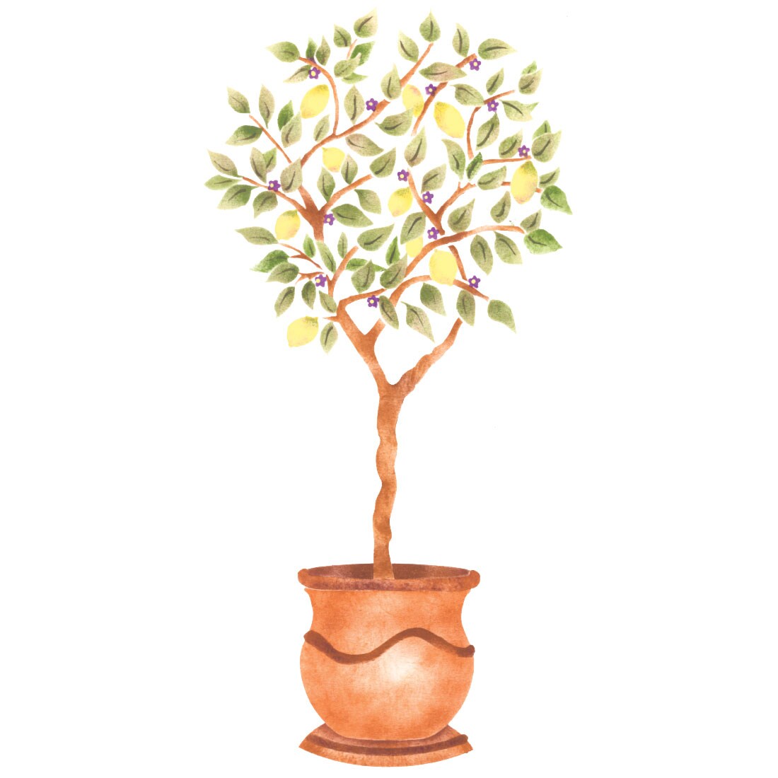 Lemon Tree Topiary Wall Stencil | 3286A by Designer Stencils | Floral Stencils |