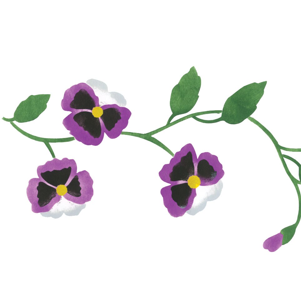 Pansy Flower Wall Stencil | 3172 by Designer Stencils | Floral Stencils | Reusable Art Craft Stencils for Painting on Walls, Canvas, Wood | Reusable Plastic Paint Stencil for Home Makeover | Easy to Use &#x26; Clean Art Stencil