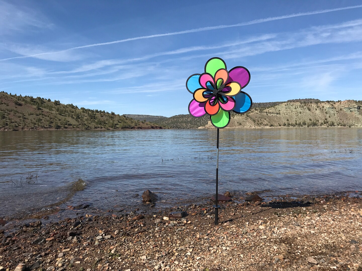 In the Breeze 2693 - 15 Inch Neon Double Windee Wheelz Spinner - Colorful Wind Spinner for your Yard and Garden