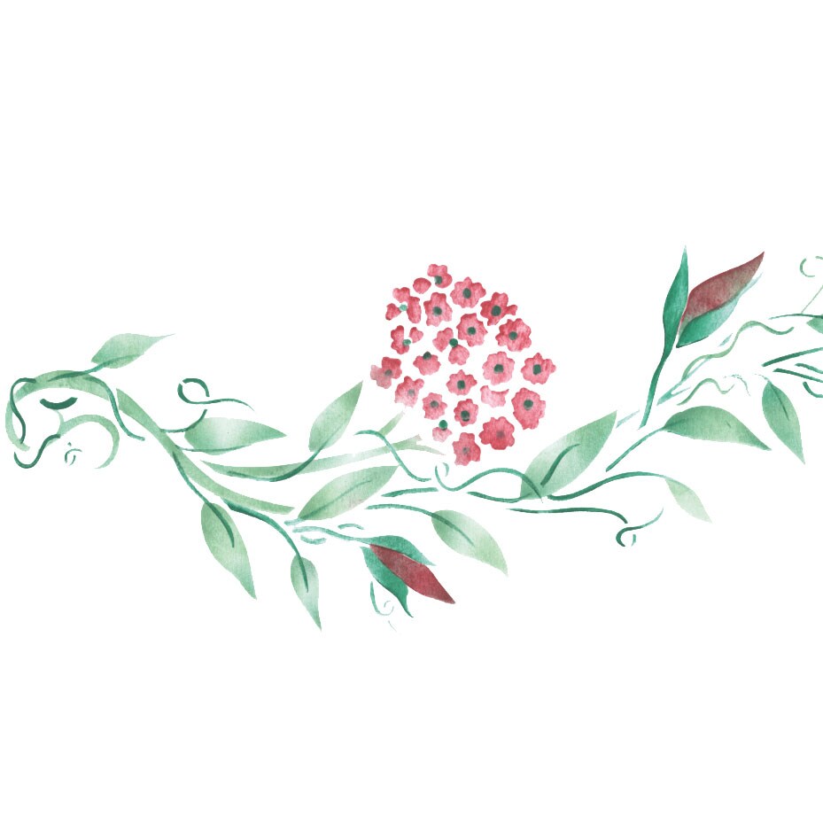 Floral Vine Wall Stencil | 2815 by Designer Stencils | Floral Stencils | Reusable Art Craft Stencils for Painting on Walls, Canvas, Wood | Reusable Plastic Paint Stencil for Home Makeover | Easy to Use & Clean Art Stencil