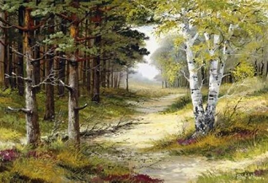 Nature walk Poster Print by Reint Withaar - Item # VARPDXRW009