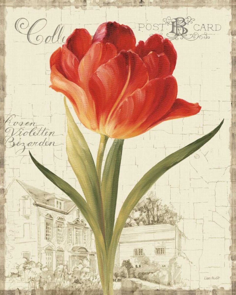 Garden View III - Red Tulip Poster Print by Lisa Audit - Item # VARPDX13355