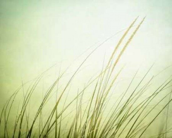 Just Breathe Poster Print by Carolyn Cochrane - Item # VARPDXC829D