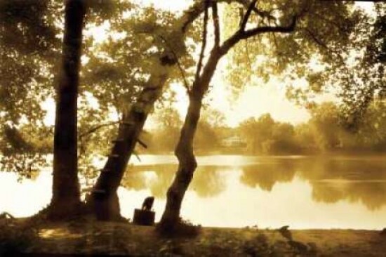River Oaks I Poster Print by Alan Hausenflock - Item # VARPDXPSHSF145