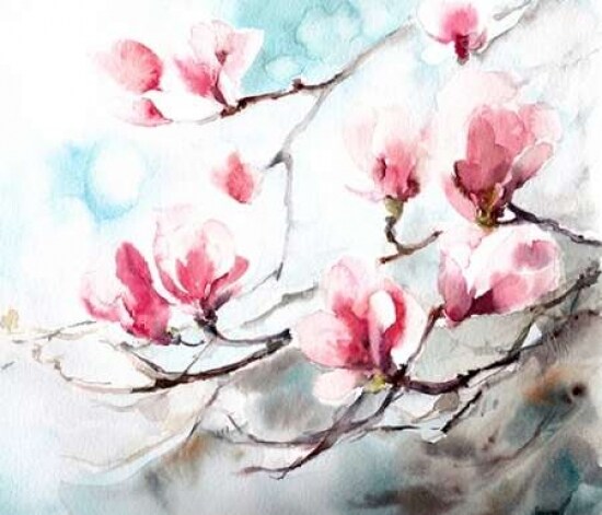 Magnolia - Spring Poster Print by  CanotStop - Item # VARPDXC1083D